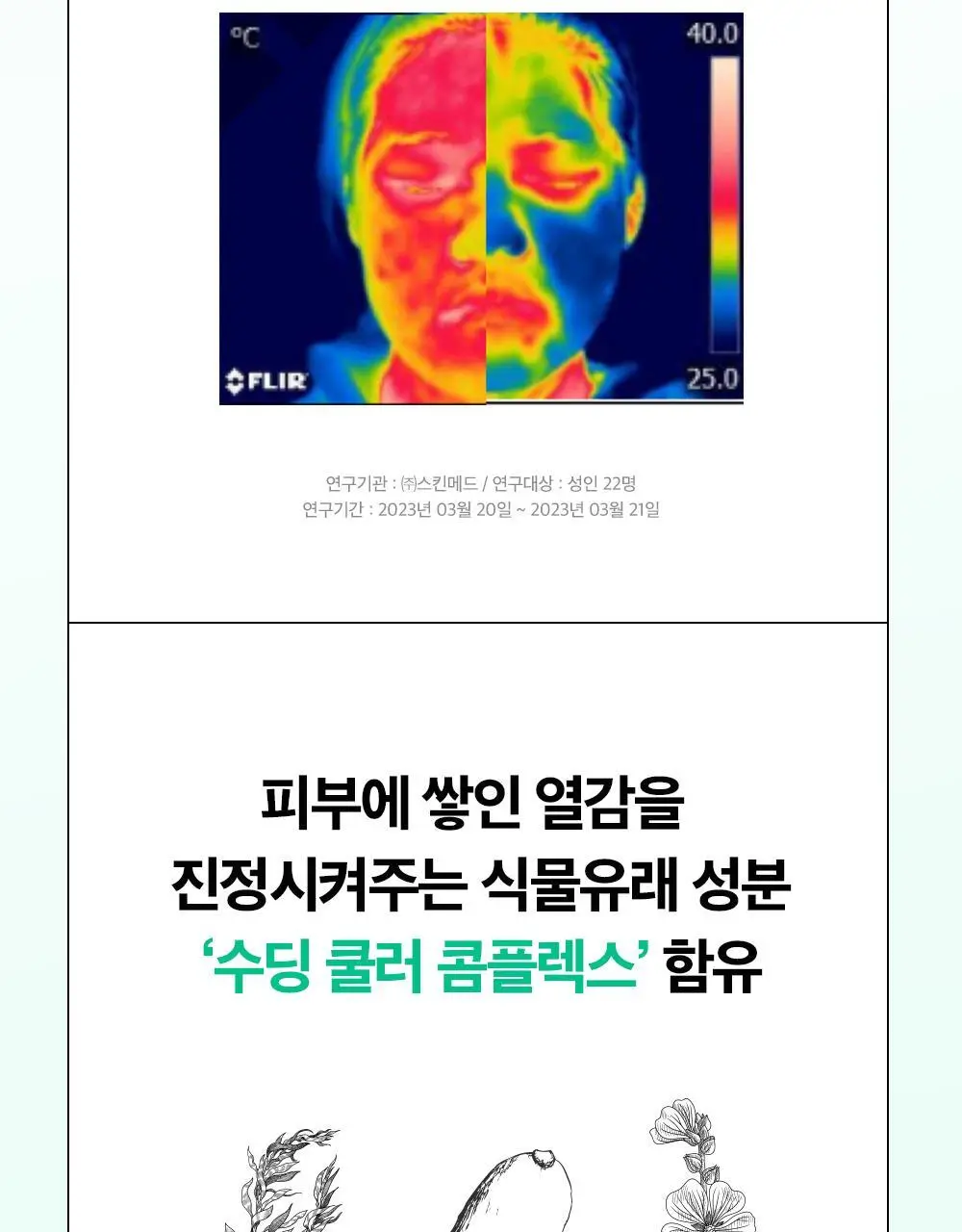 [각질/모공/피지] 듀이트리 AC컨트롤 딥 그린 카밍 클레이 젤 모공팩 100ml (기획/단품) 상세페이지 37